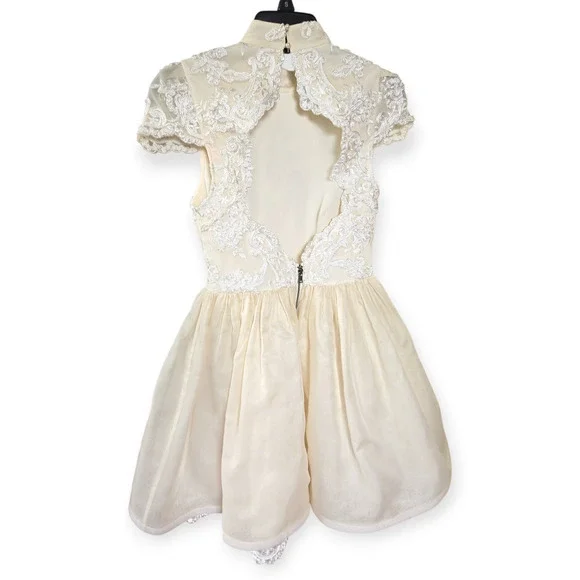 Alice + Olivia Ivory Cream Antique White Fyona Lace Silk Mini Dress Rare Size 2 - Picture 4 of 8